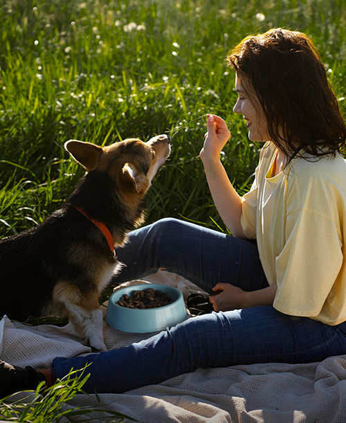 Animal health