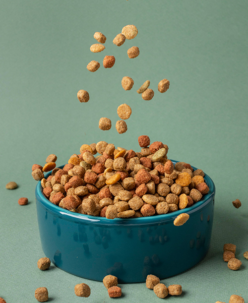 Dry food