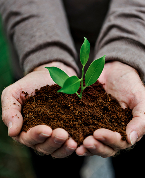 Sustainable Agriculture 2