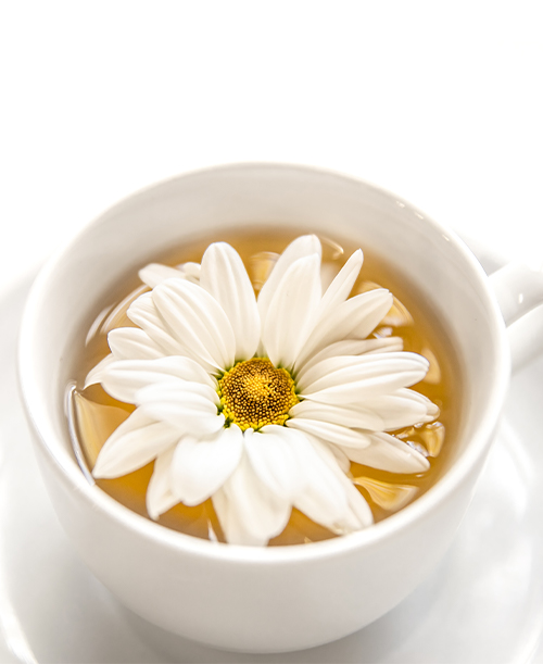 Chamomile Soft Extract