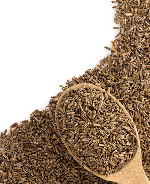 Cumin Soft Extract