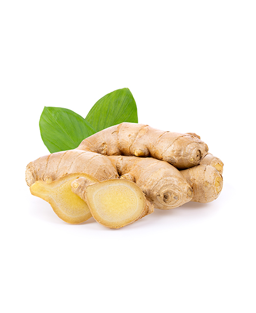 Ginger Soft Extract