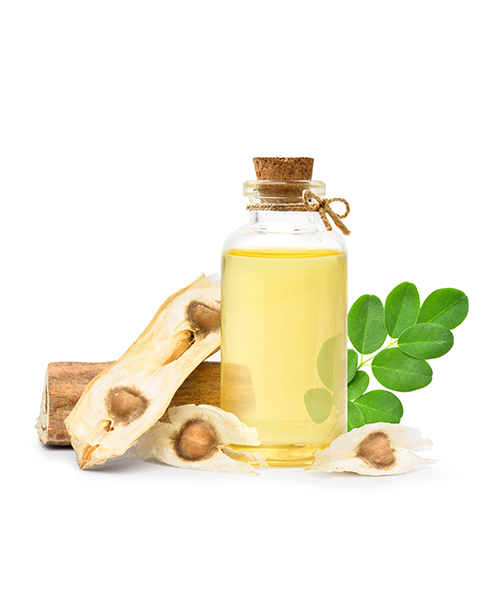 Moringa Soft Extract